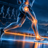 Biomechanical Expert Deel 6: Cross links Voet-Knie-Heup